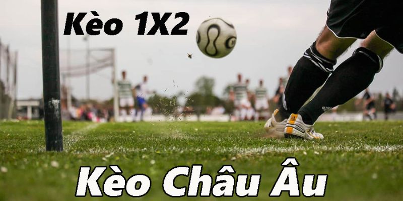 cac-tieu-chi-lua-chon-nha-cai-uy-tin-de-choi-keo-chau-au-an-toan-va-hieu-qua